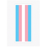 Transgender flag 1.5 x 10 meter